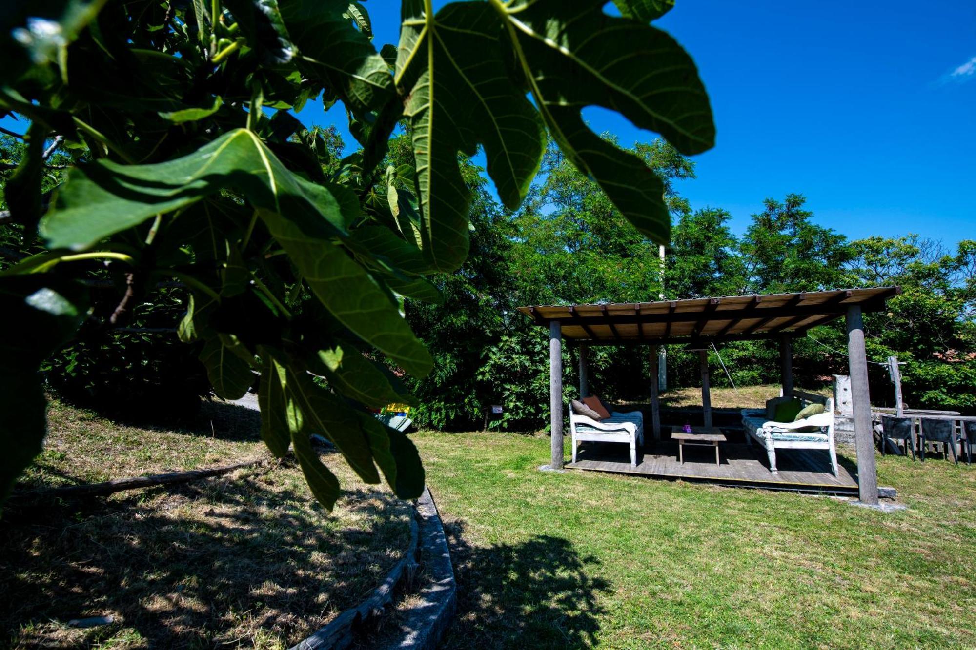 Carro 211 - Appartamento Acacia, Terrazza Giardino E Piscina מראה חיצוני תמונה